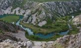 Velebit nature park a centre of endemism