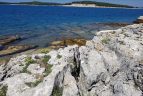 A hidden paradise on earth brijuni national park