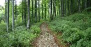 Ucka nature park