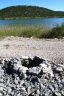 Vrana lake nature park