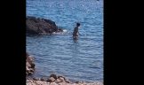 Fkk beach tomazevo krk croatia