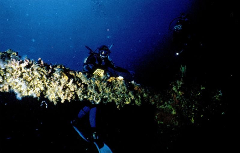 Wreck of the tugboat ursus vis