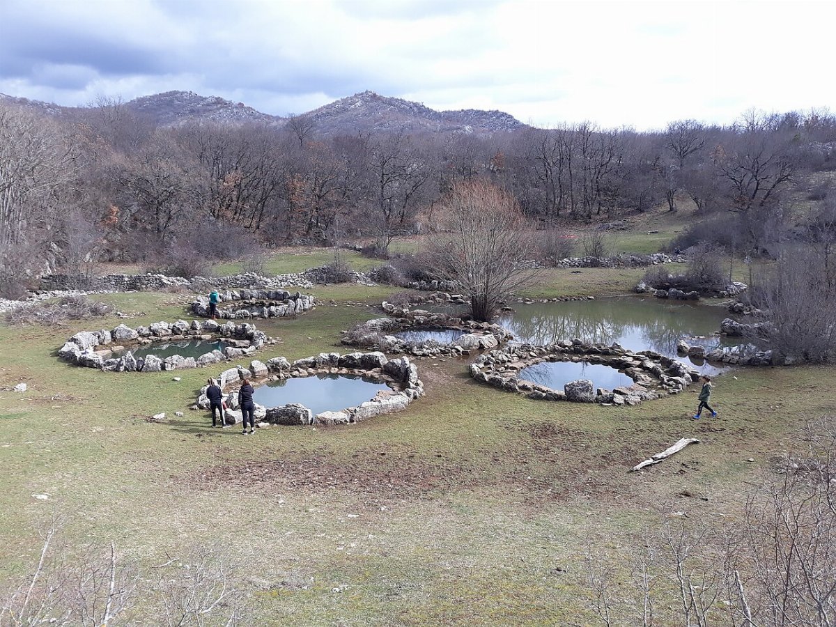 Rajcica wells nisko