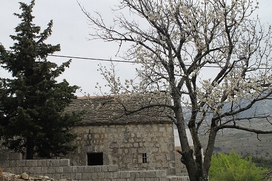Church of our lady of the immaculate conception tugare